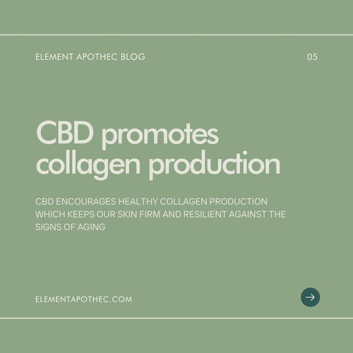 CBD Pain Relief Spray - Topical